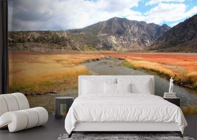 Rush creek near Grant lake in Sierra Nevada mountains Wall mural