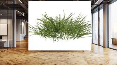 Bunches of grass on a transparent background. 3D rendering.	 Wall mural