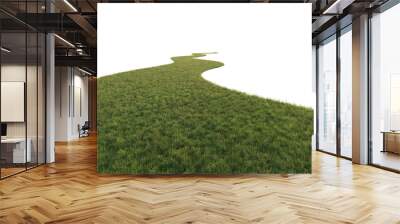 Grass path isolated on transparent background. 3D rendering. Wall mural