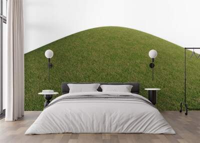 Hills with grass on a transparent background. 3D rendering.	
 Wall mural