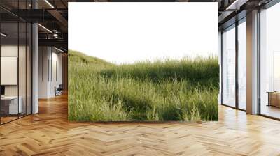 Hills with grass on a transparent background. 3D rendering.	
 Wall mural