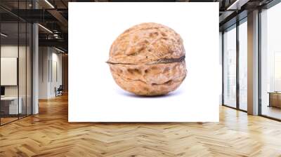 Walnuts isolated on white background. Wall mural