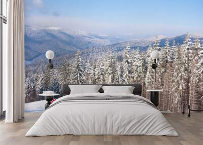 weekend in carpathian mountains Wall mural