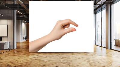 Female hand as if holding something or showing size, isolate empty hands. Wall mural