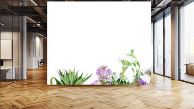 Beautiful flower bouquet with colorful flowers isolated on a white background. Wall mural