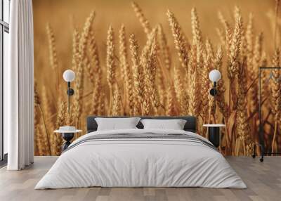 Close up nature photo Idea of a rich harvest wheat field Wall mural