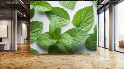 Top view of fresh green peppermint leaves with dewdrops on flat white background. Mint wallpaper, beautiful plant background template for banner. Generative AI professional photo imitation. Wall mural