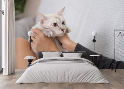 A woman reclining on a couch with her white cat resting on her legs. The setting is relaxed and comfortable Wall mural