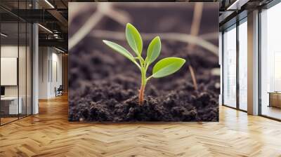 Young plant growing close up with a fresh green backdrop, highlighting the theme of environmental stewardship and the beauty of nature Wall mural