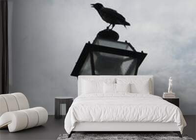 Crow sitting on top of a lantern in Firenze, Florence, Italy Wall mural