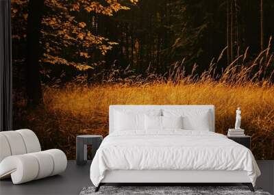 Golden grass field in a forest with warm sunset light. Wall mural