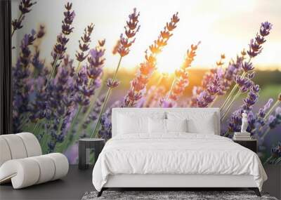 Lavender Field Sunset Wall mural