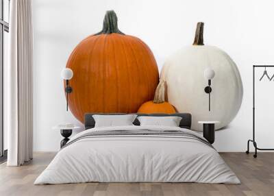 a large orange pumpkin and a large white pumpkin and several small pumpkins isolated on white Wall mural