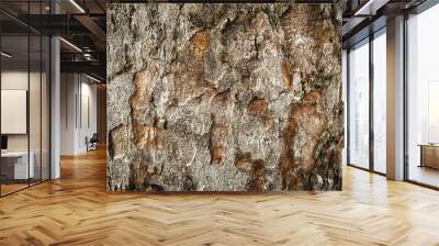 Bark pattern is seamless texture from tree. For background wood work, Bark of brown hardwood, thick bark hardwood, residential house wood. nature, Wall mural