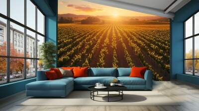 A field of grapes with the sun setting in the background. The sun is setting behind the hills and the sky is a mix of orange and pink. The field is full of grape vines Wall mural