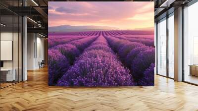 A field of lavender flowers with a beautiful sunset in the background. The sky is filled with clouds, and the sun is setting, casting a warm glow over the field. The lavender flowers are in full bloom Wall mural