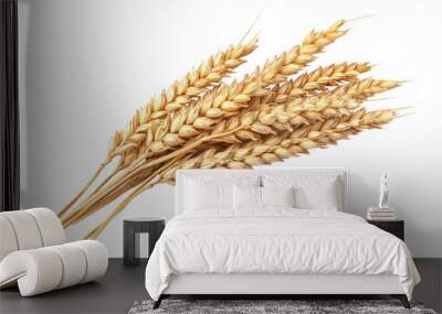 Golden wheat stalks isolated on transparent background. Perfect for agricultural and nature themes in stock images. Wall mural