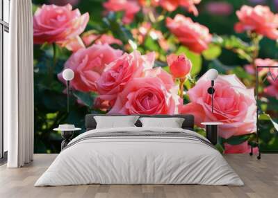 Vibrant pink roses in full bloom, showcasing nature's beauty and elegance. Perfect for floral-themed projects and gardening inspiration. Wall mural