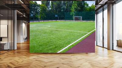 Sports ground, field with artificial turf for playing soccer and other ball sport games. Wall mural