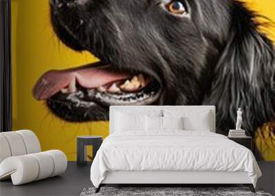 dog , commercial ads photo, product shot, stunning, beautiful, minimalist, award photo, centered Wall mural