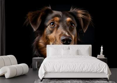 Portrait of a cute dog on a black background. Studio shot.8AI generated) Wall mural