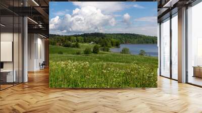 Green field with flowers, blue lake and forest in the background. Beautiful landscape. Wall mural