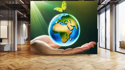 earth in hands Wall mural