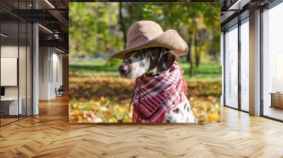 Dalmatian dog in a brown cowboy hat and plaid against the backgr Wall mural