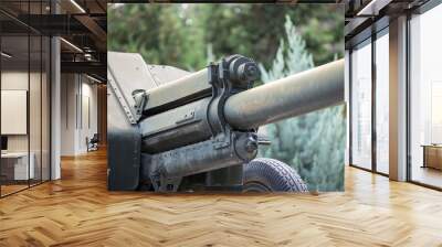 old weapon is an artillery cannon in the war in Ukraine Without soldiers Wall mural