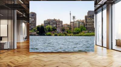 slum houses of Cairo on the banks of the Nile in Egypt Wall mural