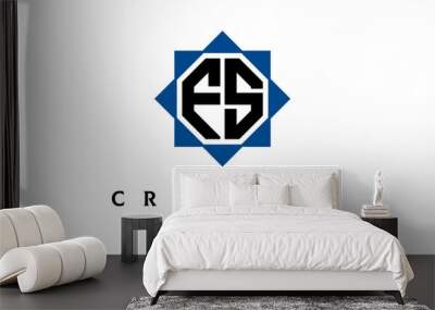 FS double square latter logo vector Wall mural