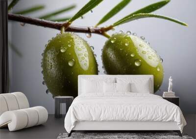 close-up view of two green olives on a tree branch, covered in dew drops, isolated on a white backgr Wall mural