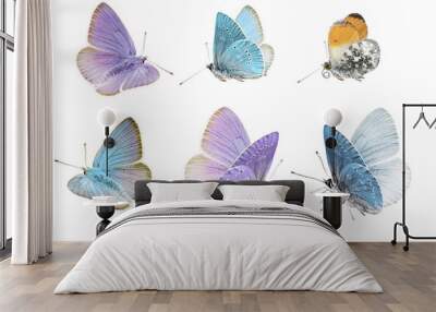 Butterflies set, pastel colored butterflies isolated on white background Wall mural