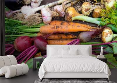 Harvest of Fresh organic vegetables Wall mural