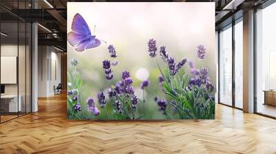 Purple blossoming Lavender and flying butterfly in nature. Wall mural