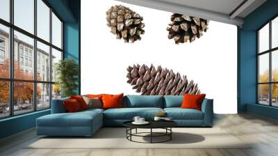 Set of various cones Wall mural