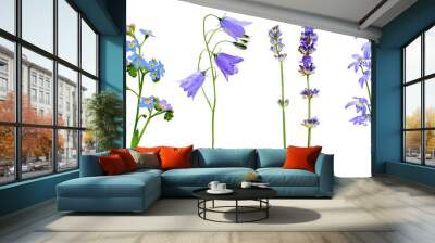 Wild flowers set isolated on a white background. Lavender, bluebell and forget-me-not, snowdrops, primroses Wall mural