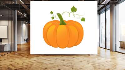 Pumpkin with a shoot and leaves. Vector illustration isolated on a white background. Icon, sign, template for design. Wall mural