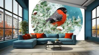 Winter Christmas background, red bullfinch bird sits on snowy branches of spruce, evening, blizzard, snow flies, round form Wall mural