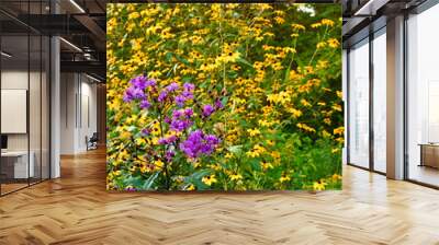 purple and yellow wild flowers  Wall mural