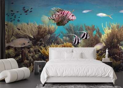 Colorful coral reef with many fishes and sea turtle. The people at snorkeling underwater tour at the Caribbean Sea at Honeymoon Beach on St. Thomas, USVI - travel concept Wall mural