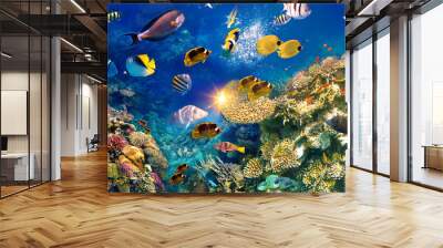 fish in the natural environment Wall mural