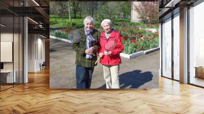 Senior women in the meadow playing badminton at park. Wall mural