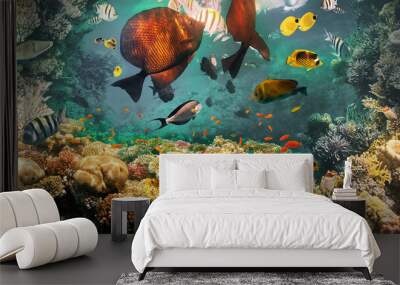 Underwater Colorful Tropical Fishes. Wall mural