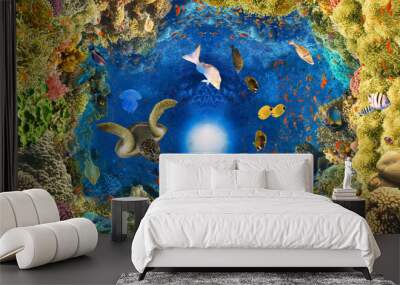 underwater paradise background - coral reef wildlife nature collage with sea turtle and colorful fish background Wall mural