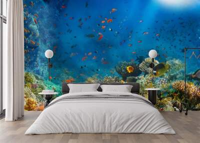 Underwater world. Coral fishes of Red sea. Egypt Wall mural