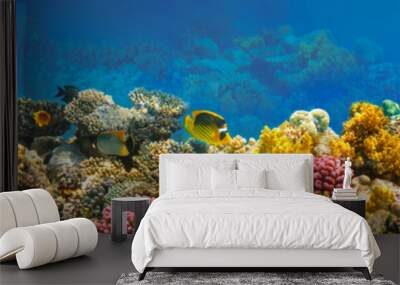 Underwater world. Coral fishes of Red sea. Wall mural