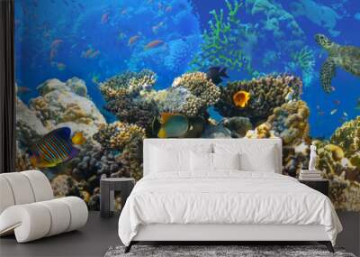 Underwater world. Coral fishes of Red sea. Wall mural