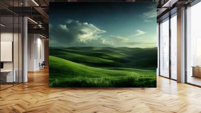 A beautiful summer or spring landscape with green grass on the hills and green fields. Dark dramatic sky in the evening. Nature as a background. Wall mural