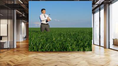 businessman poses with a spyglass, he looks into the distance and looks for something, green grass and blue sky as background Wall mural